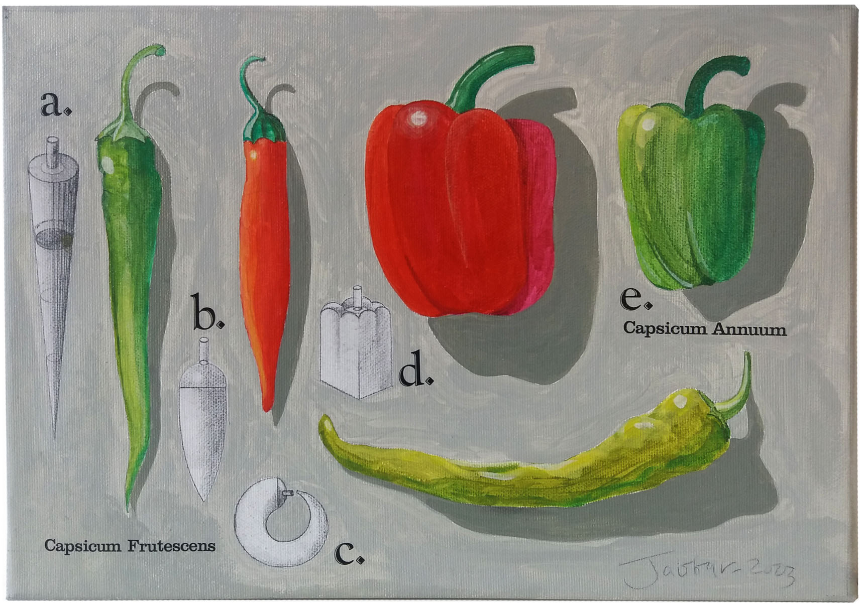 Ali Cabbar, Pepper Study, 2003, Tuval üzerine akrilik, 35x25 cm.